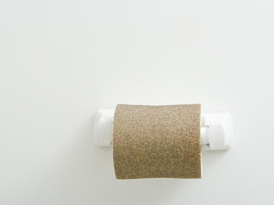 toilet sandpaper